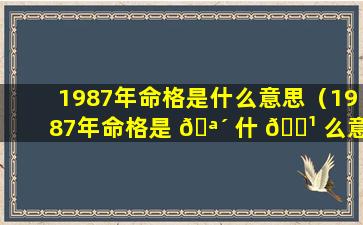 1987年命格是什么意思（1987年命格是 🪴 什 🌹 么意思啊）